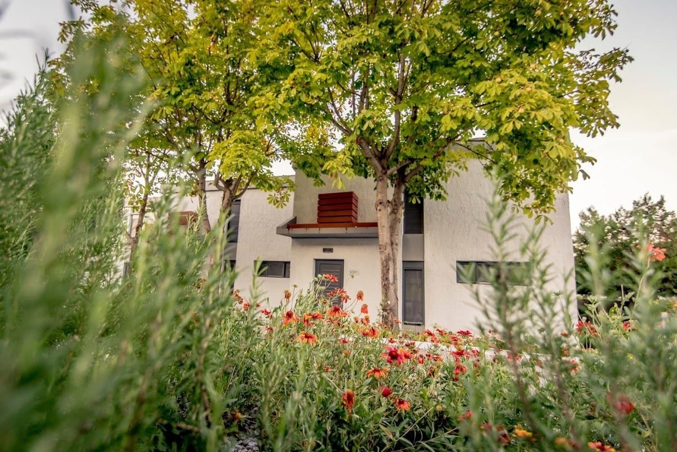 Pleiades Boutique Villas Криопиги Экстерьер фото